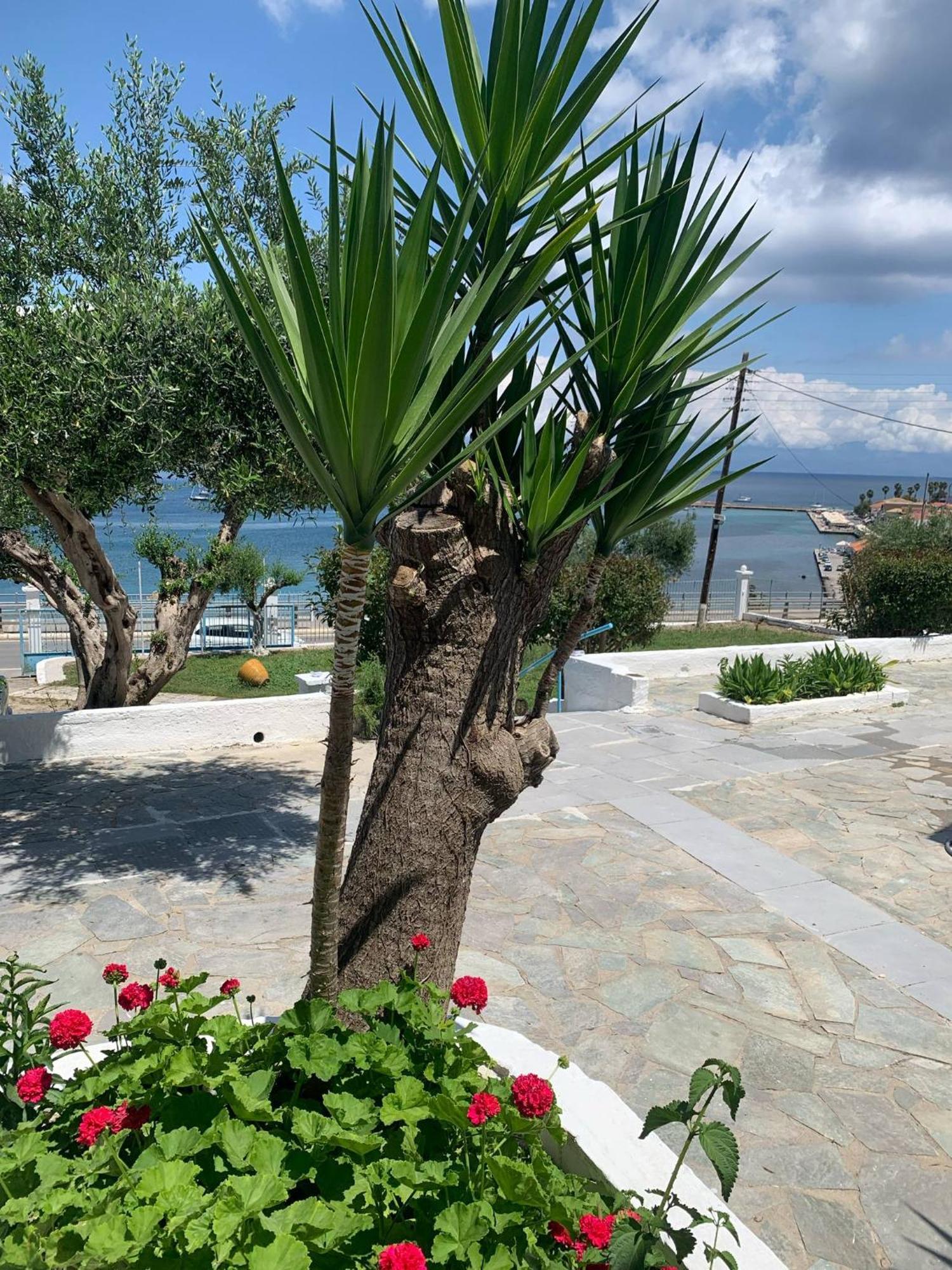 Artaki R Apartments Koroni  Exterior photo