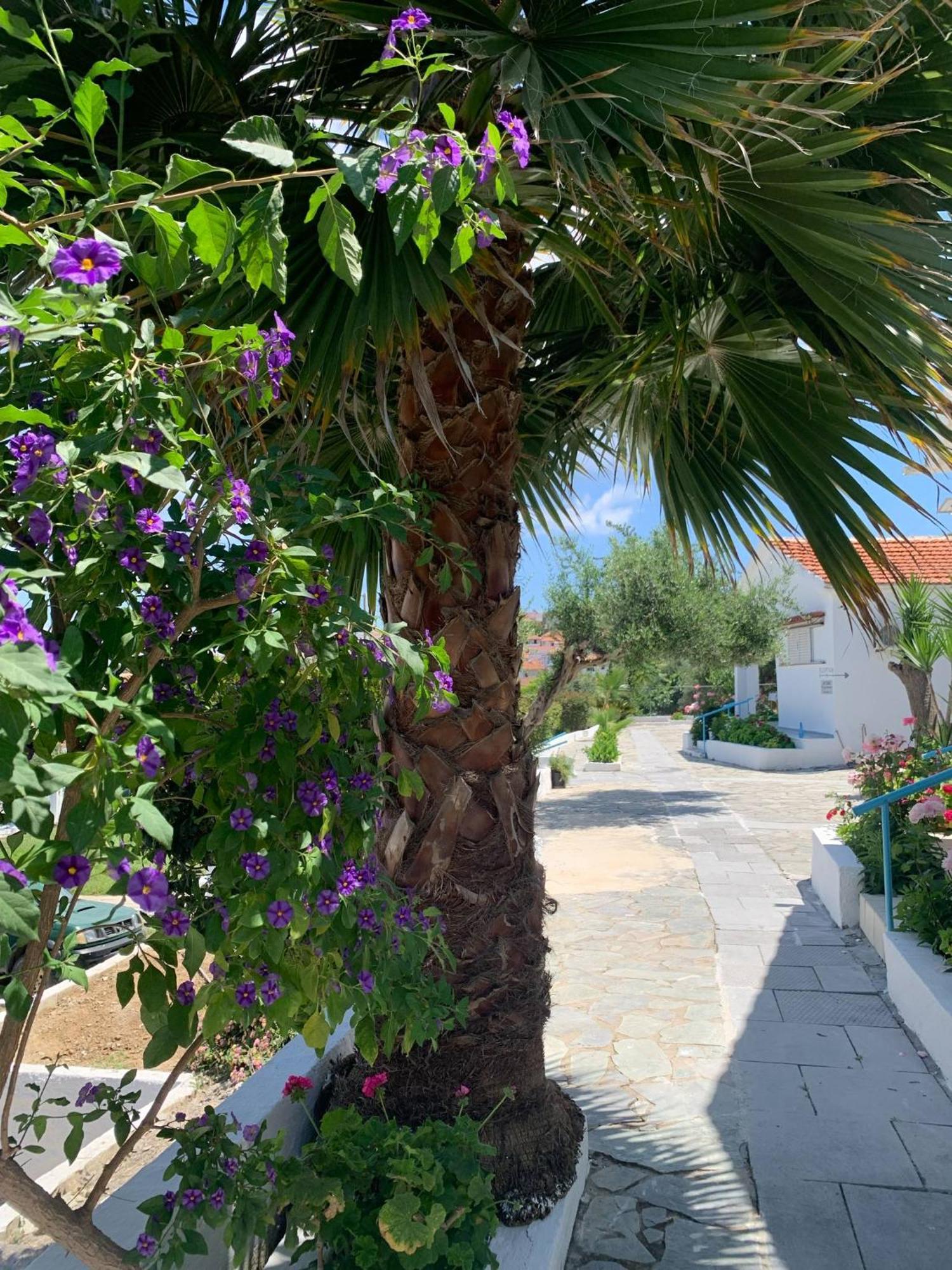 Artaki R Apartments Koroni  Exterior photo